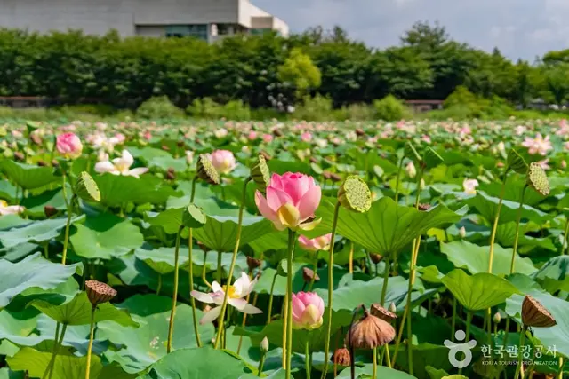 봉담호수공원 조합놀이대 사진