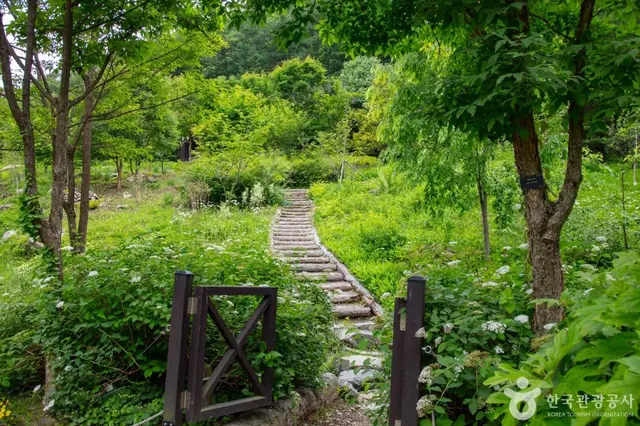 제이드가든 사진