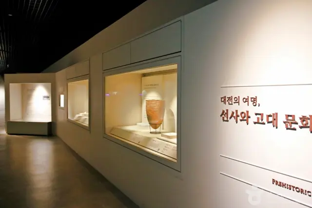 대전시립박물관우리놀이터 사진