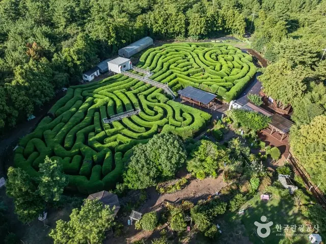 김녕미로공원 사진