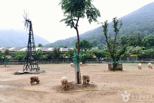 한우드림 동물체험장 사진