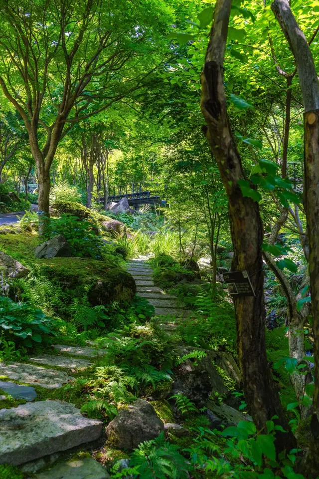 화담숲 사진