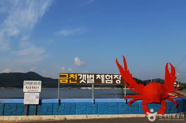 남해금천갯벌체험장 사진