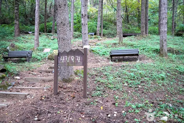 국립 백운산자연휴양림(원주) 사진