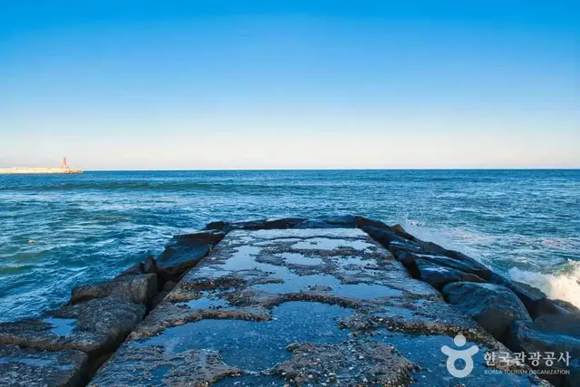 영진해변 사진