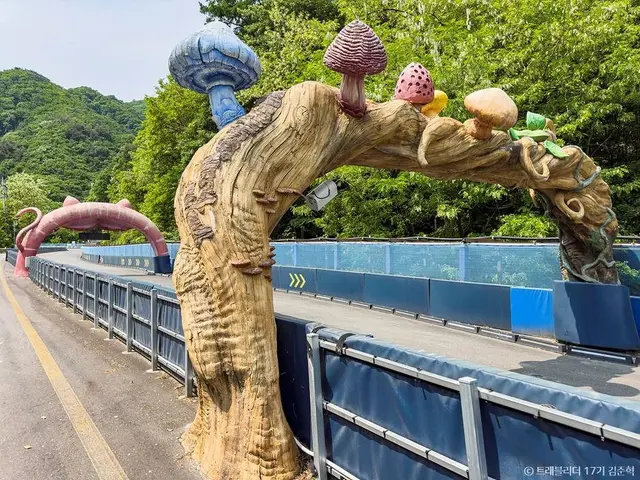 횡성루지체험장 사진