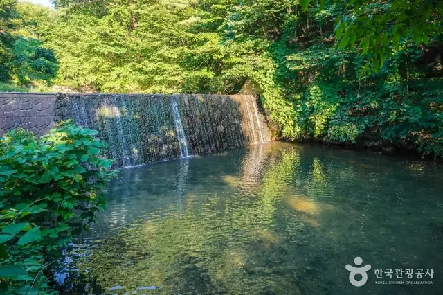 금화계곡 사진