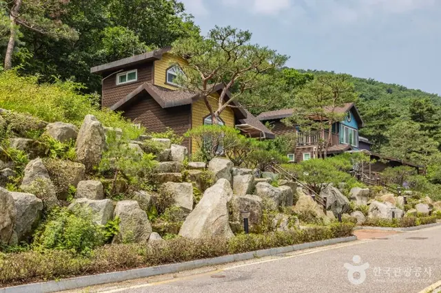석모도 자연휴양림 사진