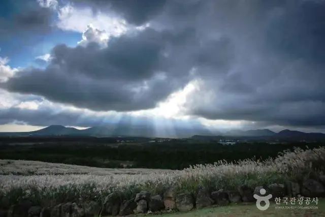 산굼부리 사진