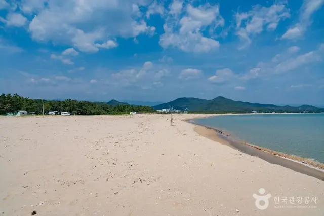 송지호해수욕장 사진