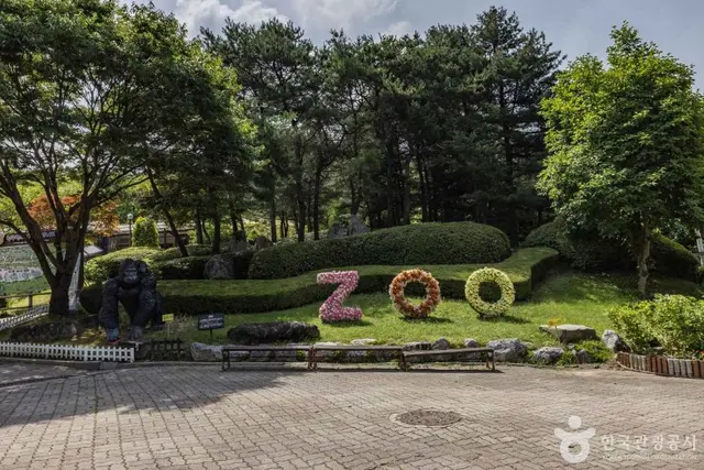 청주동물원 사진
