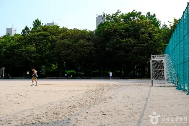 노해체육공원 사진