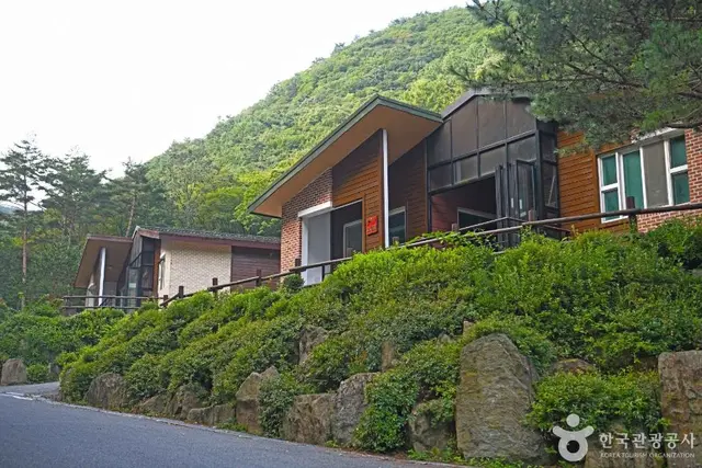 망경대산자연휴양림 사진