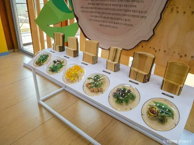 합천목재문화체험장 사진