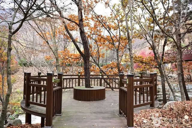 흑석산 자연휴양림 사진
