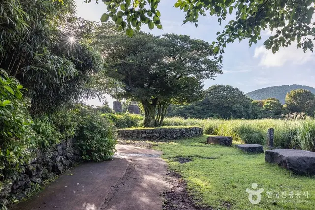제주돌문화공원 사진
