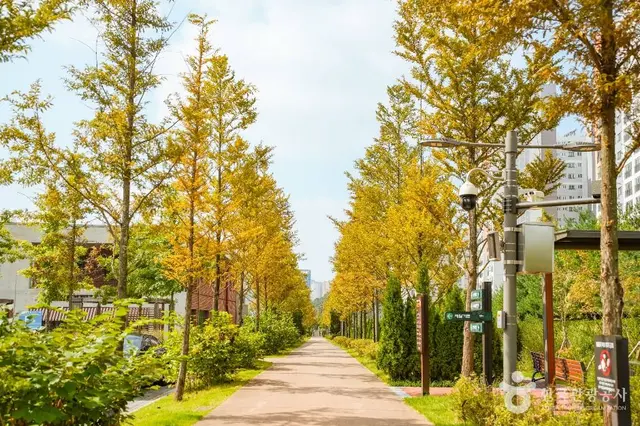 푸른수목원 사진