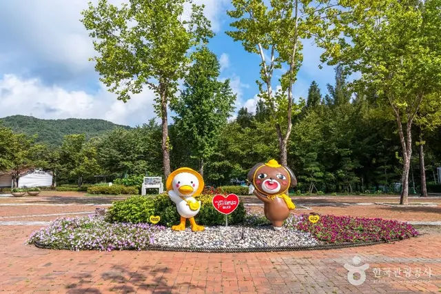 금강로하스대청공원 사진