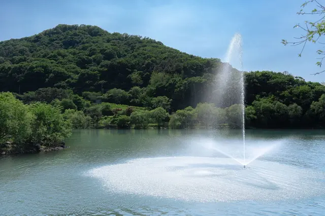 마장호수 출렁다리 사진