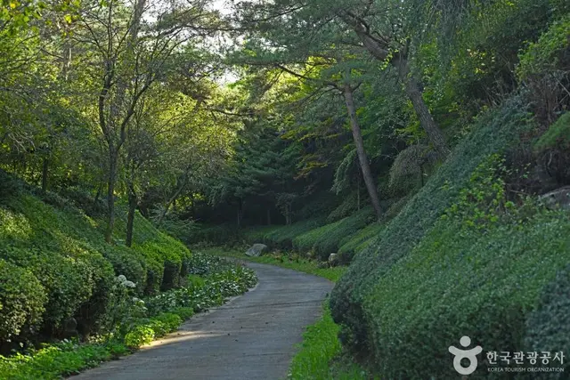 홍천 척야산 문화수목원 사진