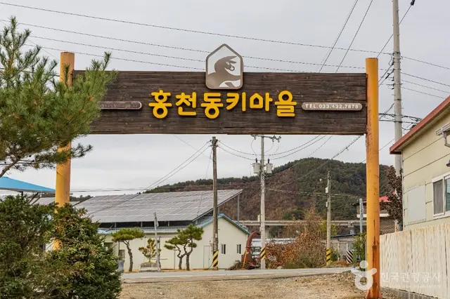 홍천동키마을 사진