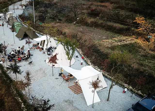 자두마을 사진