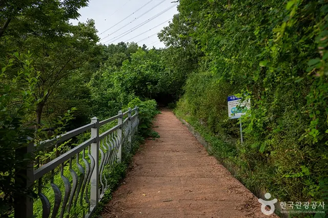 월롱시민공원 사진