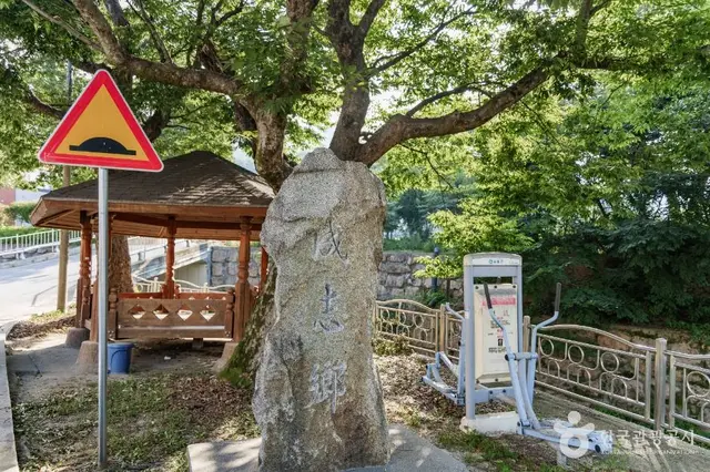 춘양목송이 정보화마을 사진