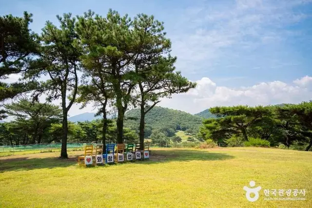 화랑의언덕 사진