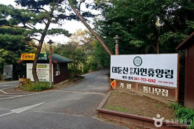 대둔산자연휴양림 사진