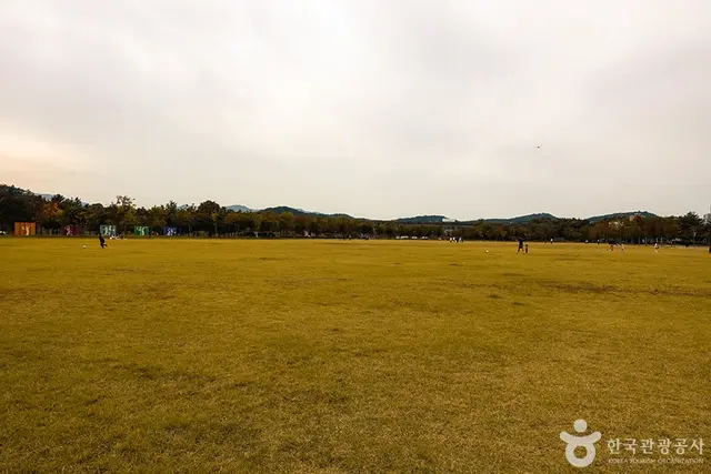 율하체육공원 사진