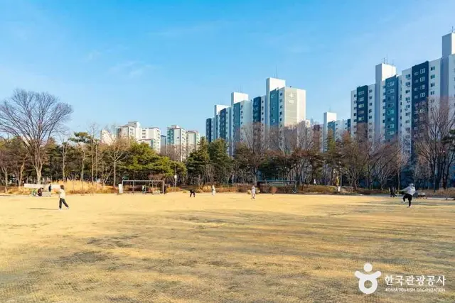양천공원 놀이터 사진