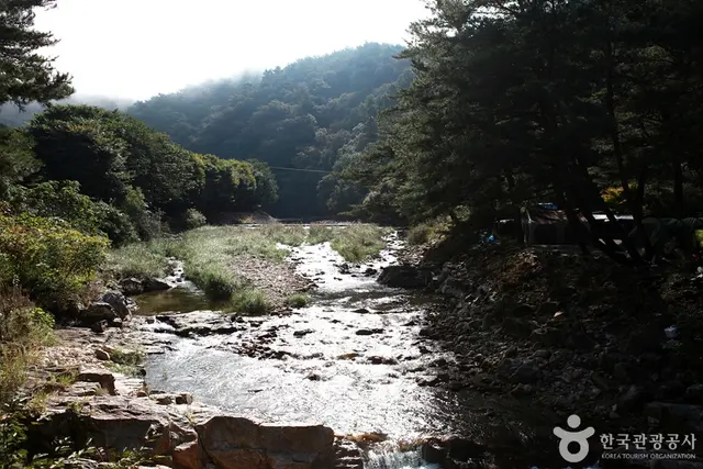 법흥계곡 사진