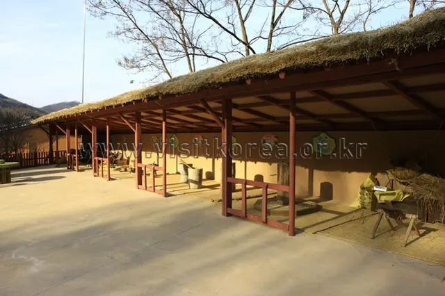 용인농촌테마파크 사진