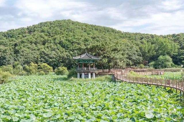 들성생태공원 사진