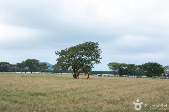 렛츠런팜 사진