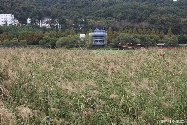 정양늪생태공원 사진
