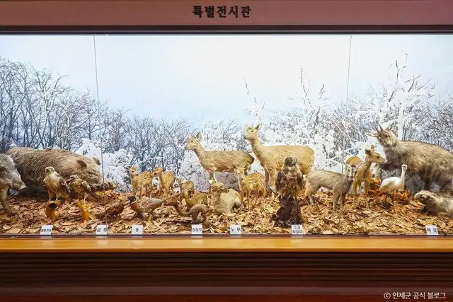 인제산촌민속박물관 사진