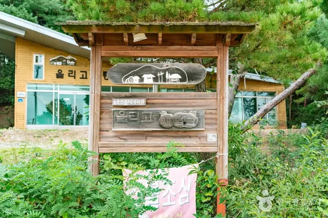 단호박올리고마을 사진