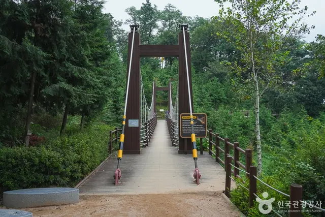 계양산 산림욕장 사진