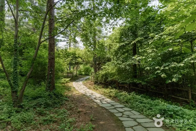 남양주 물맑음수목원 (유아숲체험원) 사진