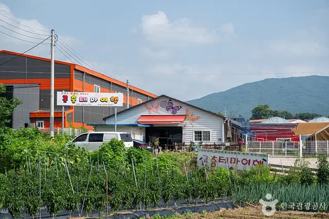 곤충테마여행 사진