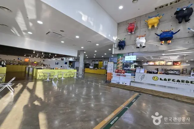제주라프 사진