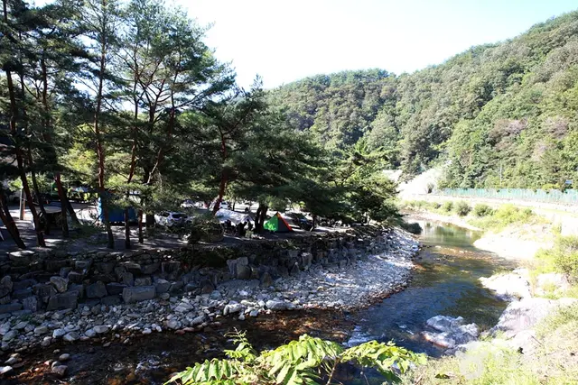 법흥계곡 사진