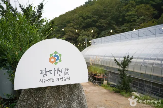 팜다원 사진