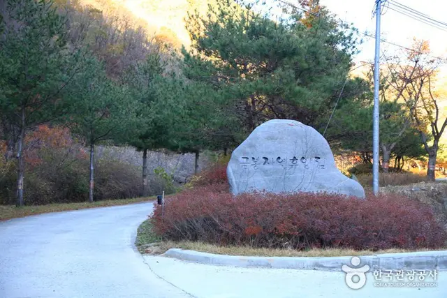 금봉자연휴양림 사진