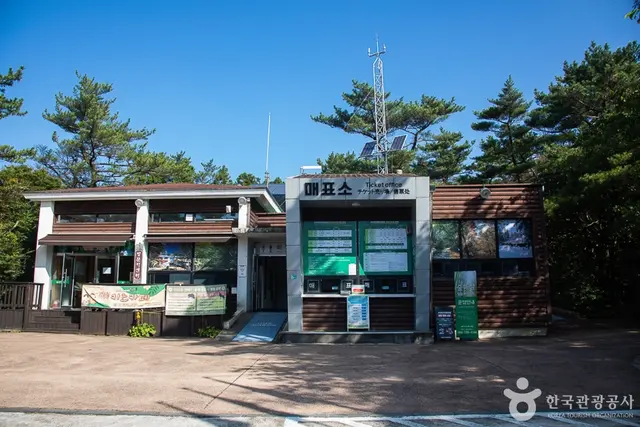 서귀포자연휴양림 사진