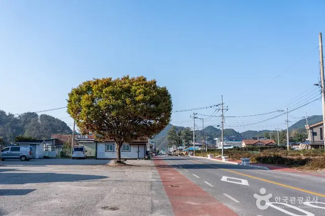 월악산 약초마을 사진