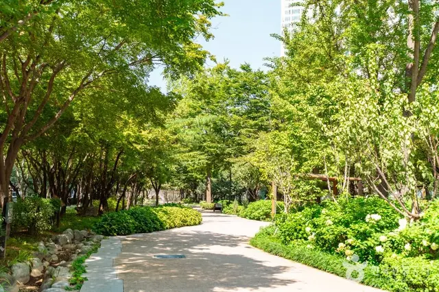 거리공원 사진