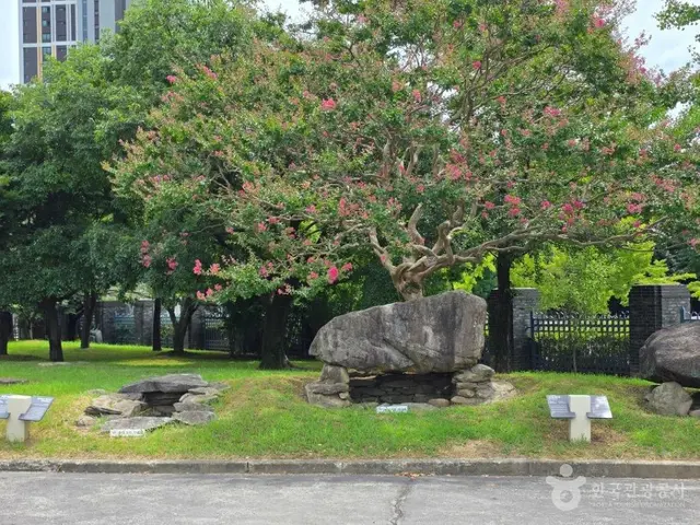 국립광주박물관 사진